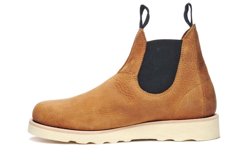 Gewoon Een Gek Paard Kan Bruin Worden