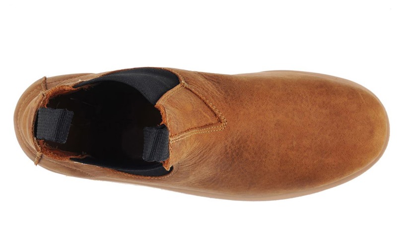 Gewoon Een Gek Paard Kan Bruin Worden