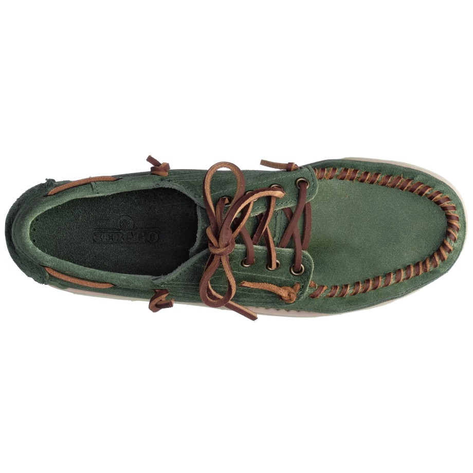 Offer Zijn Keuka-groene Agave