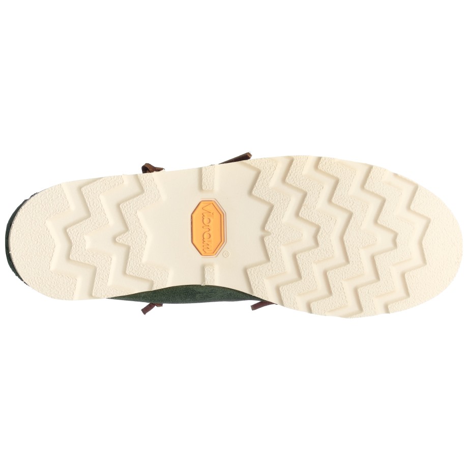 Offer Zijn Keuka-groene Agave